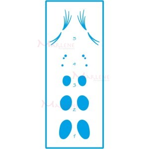 Stencil STP 17X6,5cm Litoarte